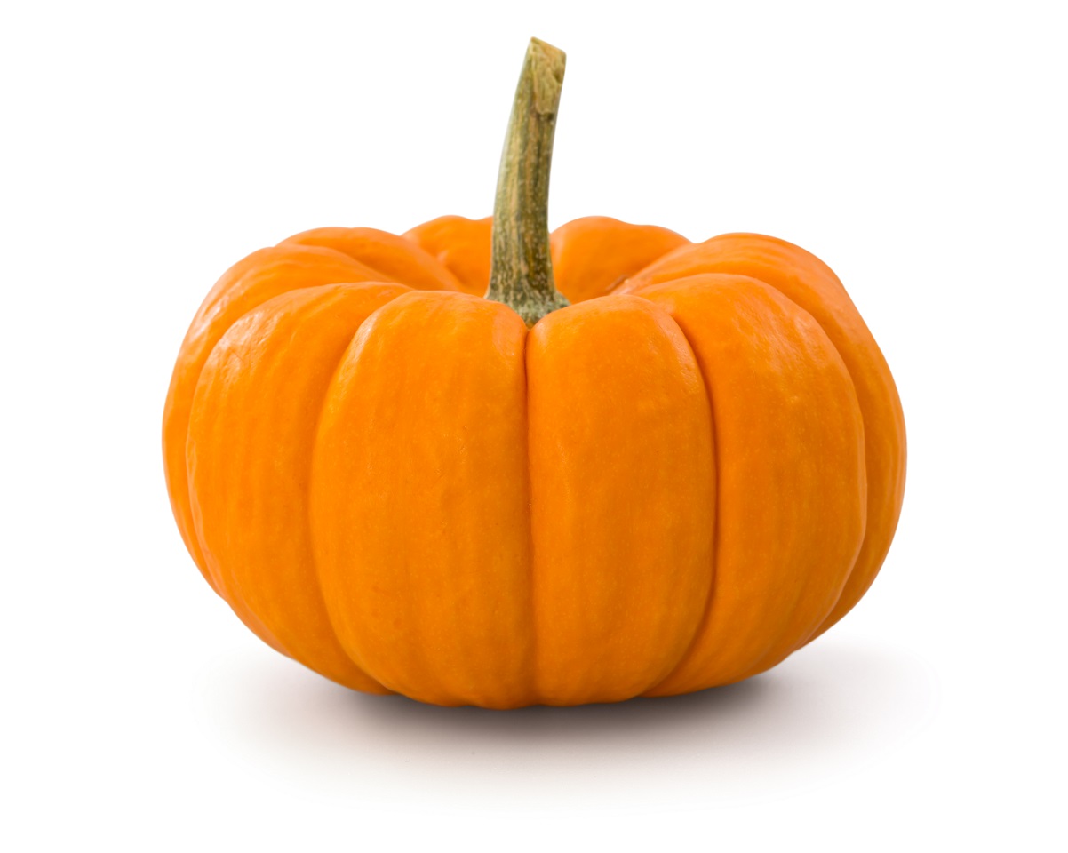 Pumpkin Butter from Real Pumpkins - Heather McCollum - Pumpkin And Turkey Grain Free Dog Food Recipes With Sweet Potatoes